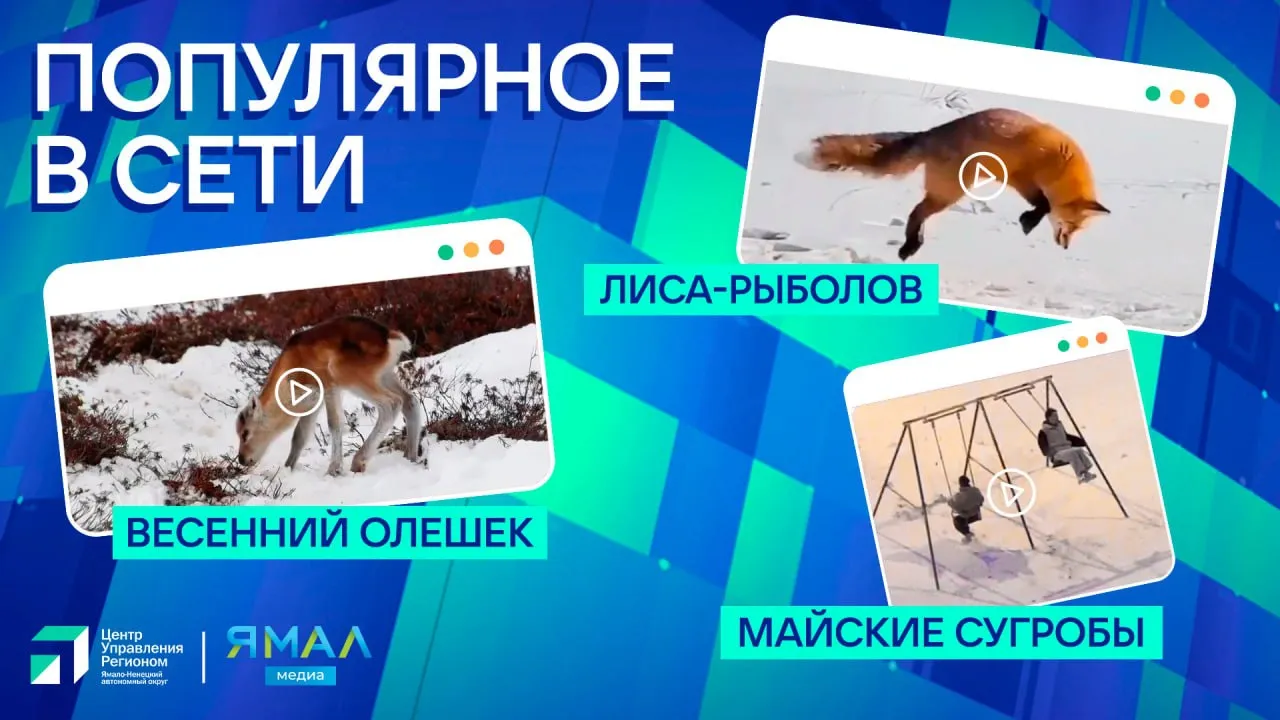 НТВ.Ru // Новости, видео, передачи и сериалы НТВ, прямой эфир и телепрограмма