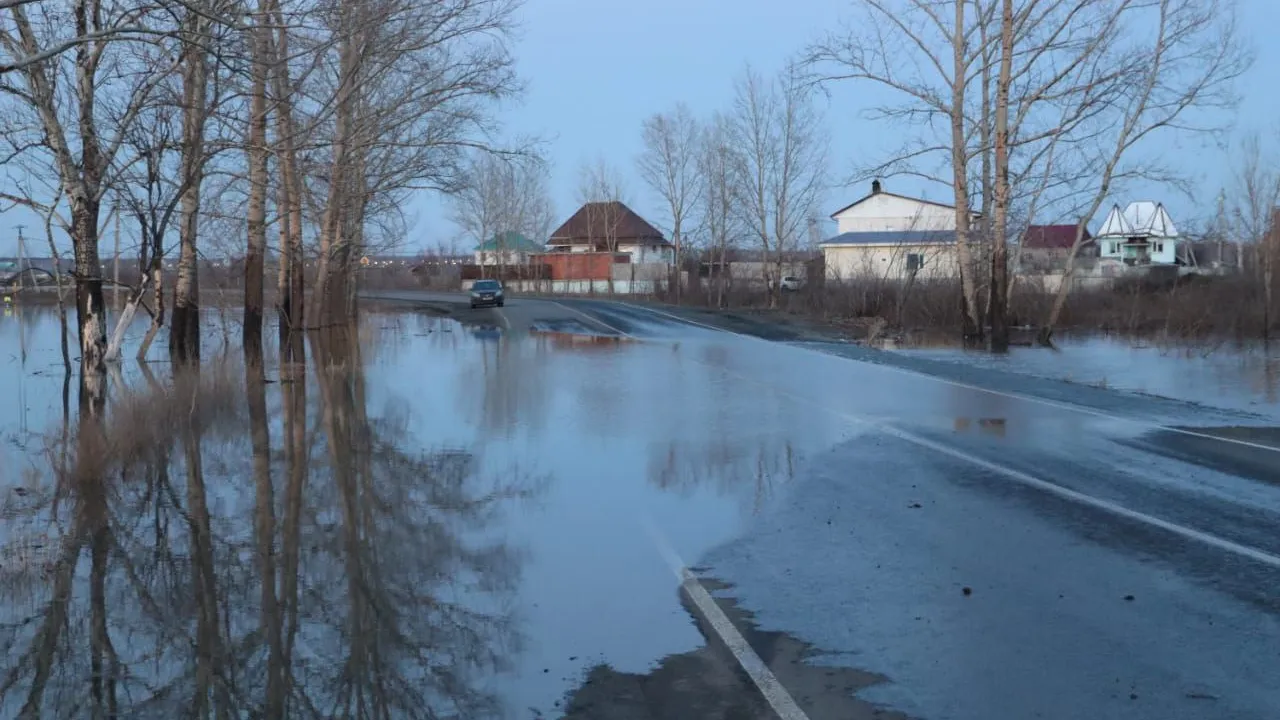 Паводок в Кургане, Томске и Ишиме: что известно о половодье | Ямал-Медиа