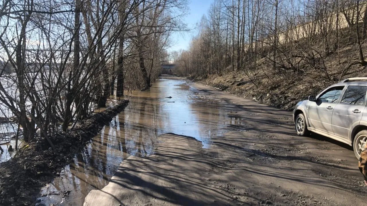 Опасный уровень: вода в реке Томь в Новокузнецке достигла отметки в 630 см  | Ямал-Медиа