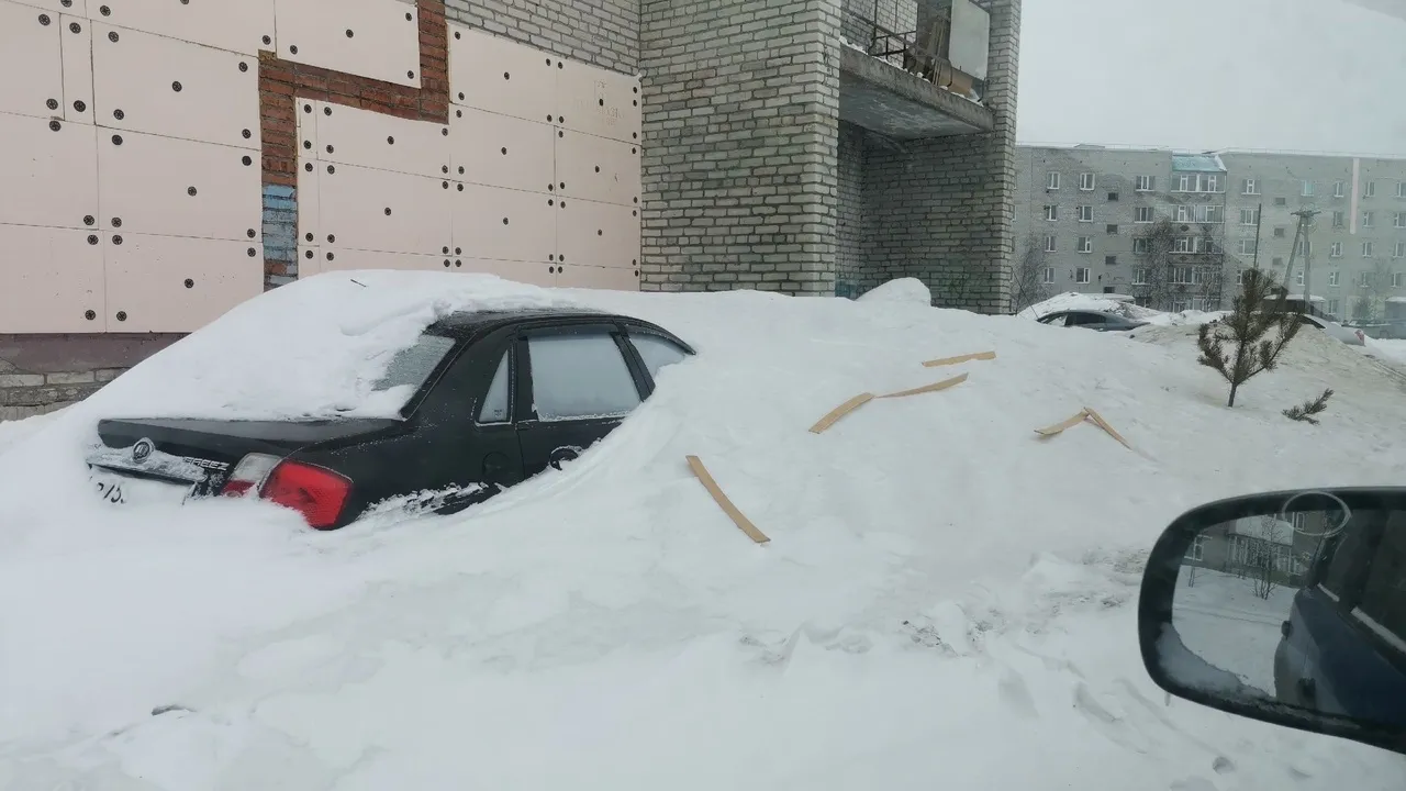 Первые подснежники»: в подтаявших сугробах в Ноябрьске обнаружили брошенные  авто | Ямал-Медиа