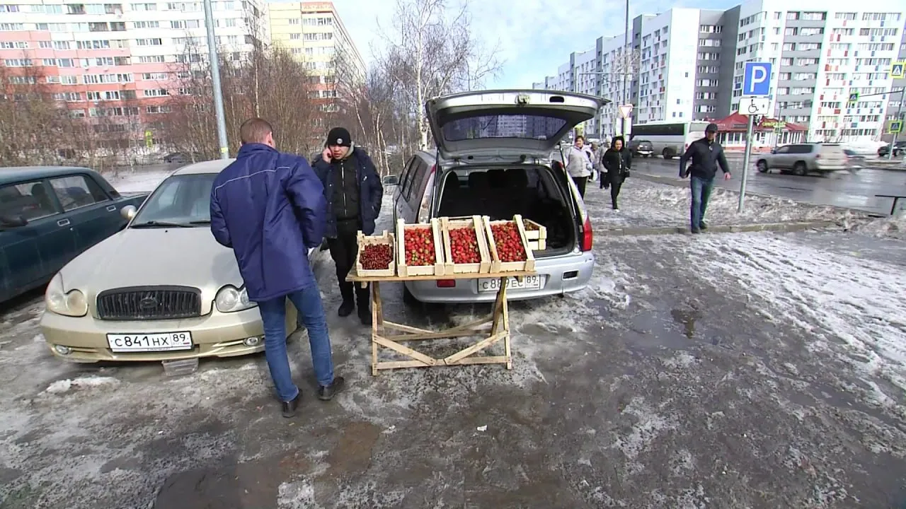 Клубника из багажника: в Новом Уренгое ликвидировали незаконную точку  торговли | Ямал-Медиа