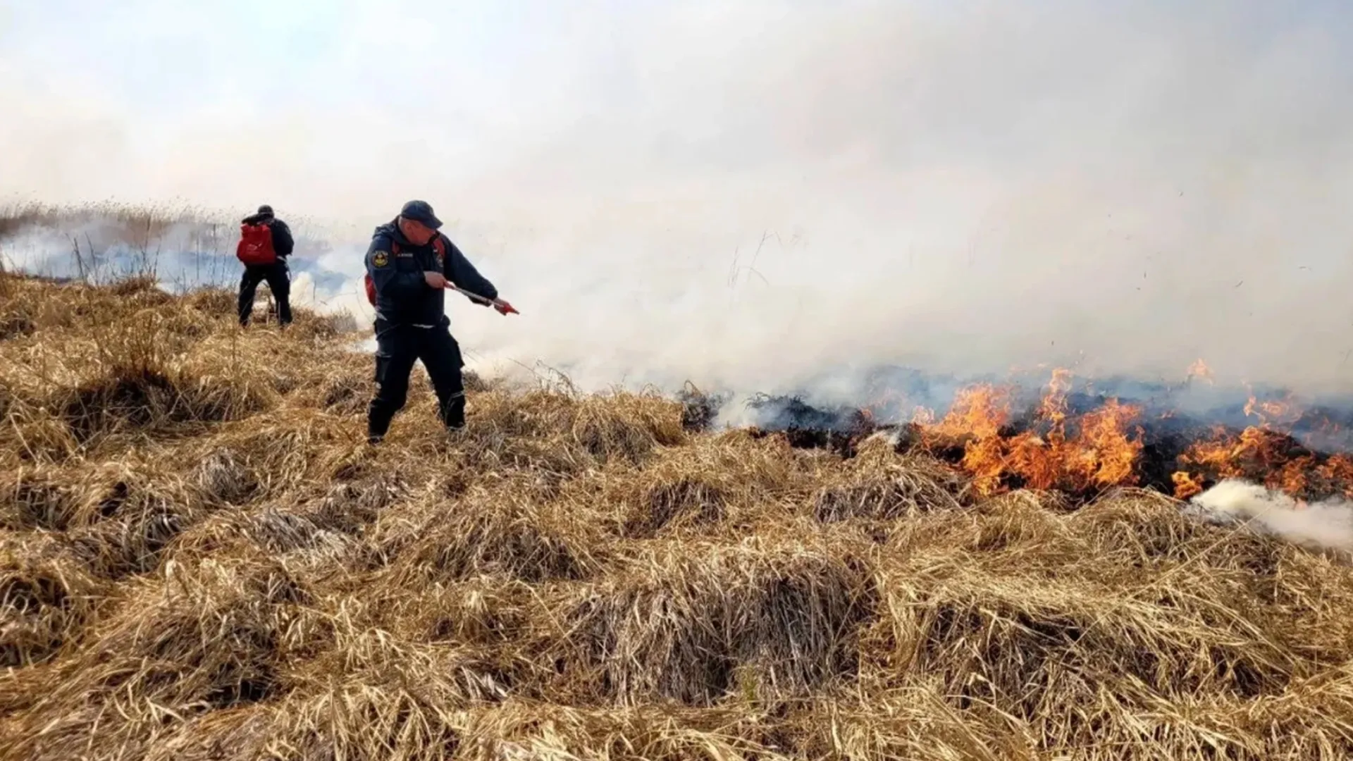 Фото предоставлено пресс-службой губернатора ЯНАО