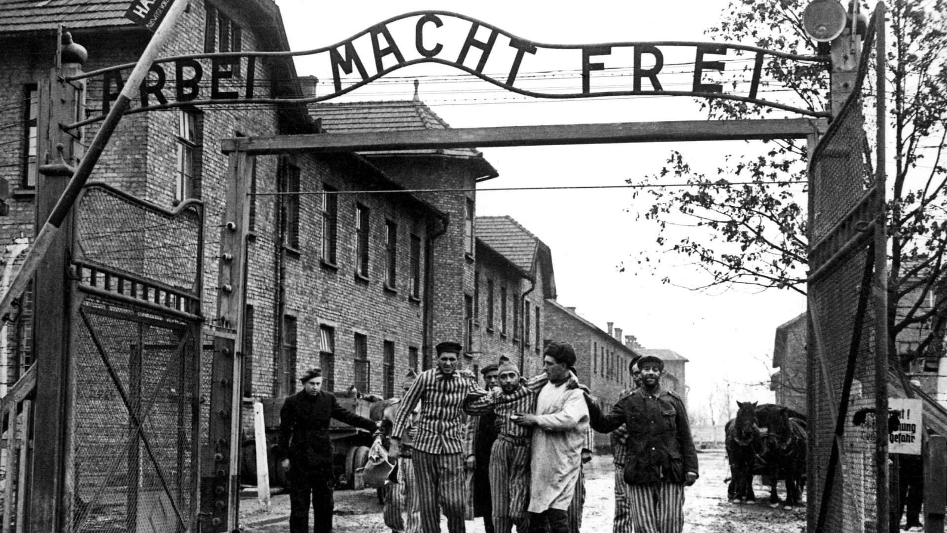 Освобожденные советскими солдатами узники Освенцима. Фото: ru.wikipedia.org