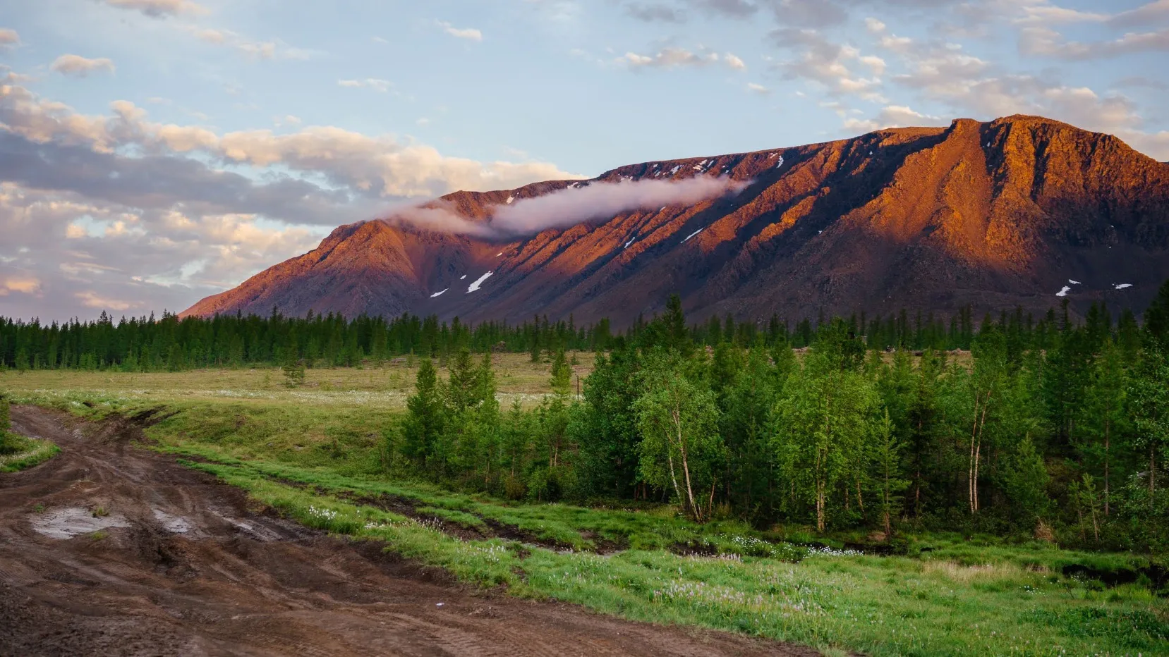 Массив Рай-Из.Фото: Юлия Чудинова/«Ямал-Медиа»