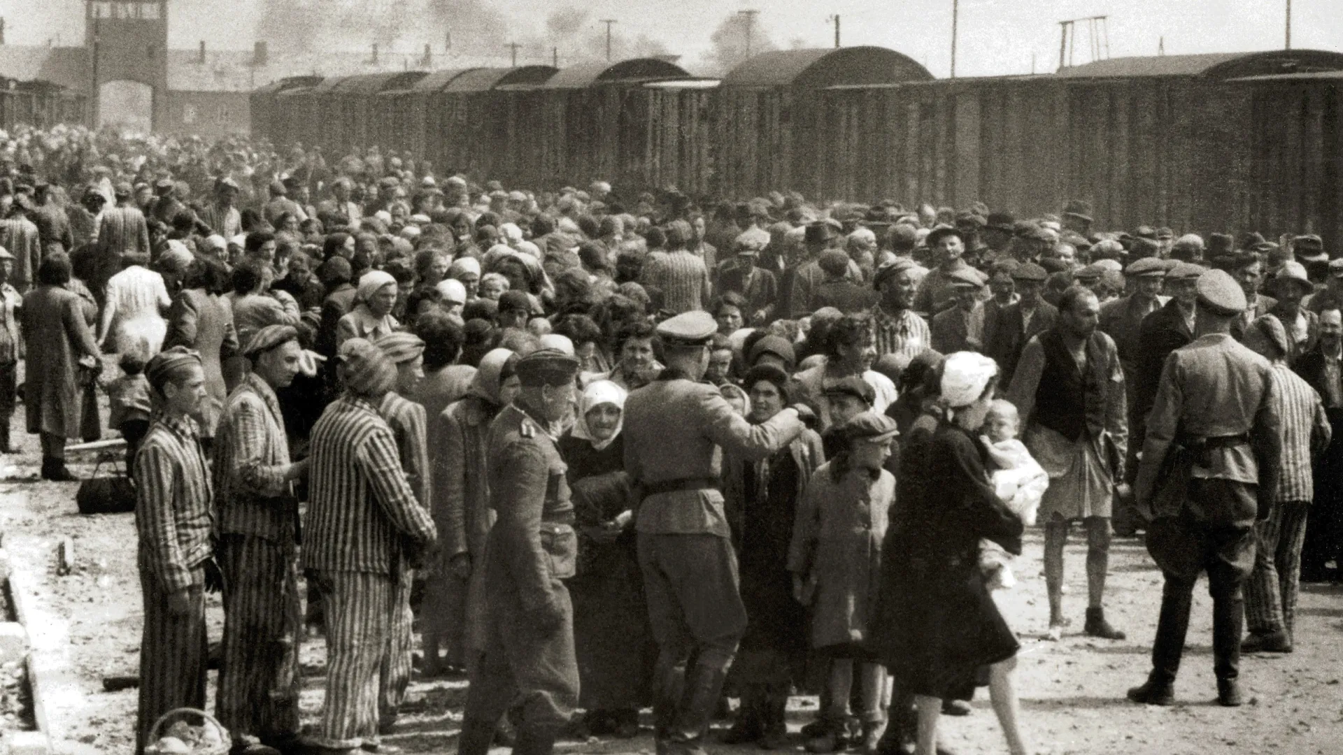 «Селекция» евреев из Венгрии в концлагере. Фото: ru.wikipedia.org