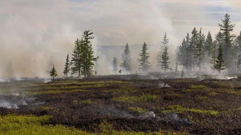 Фото: «Ямал-Медиа»