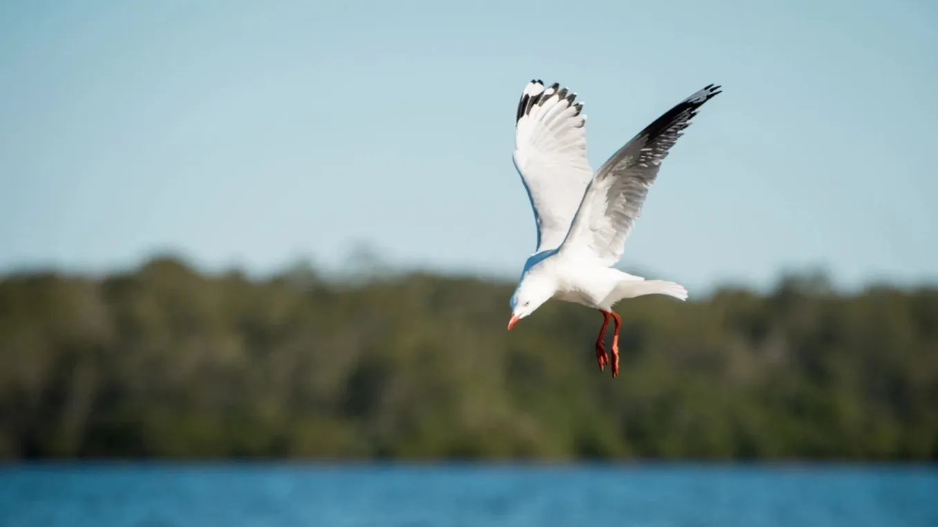 Фото: Always Joy Photography/shutterstock.com