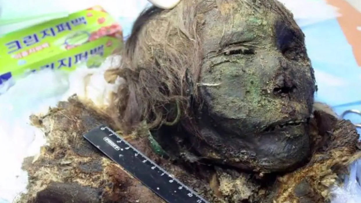 Голова мумии жительницы Приполярья