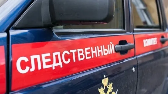 Двоих подозреваемых задержали по делу об убийстве пятилетней девочки в Костроме