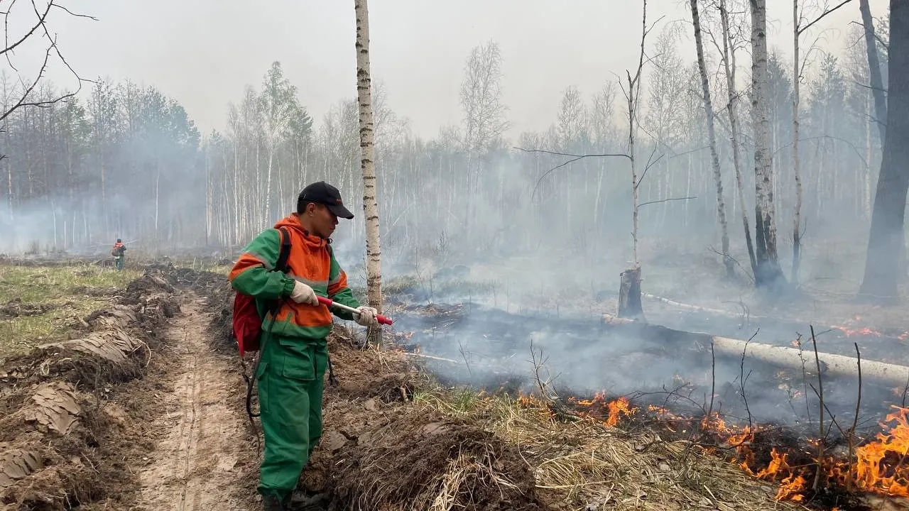 Фото предоставлено пресс-службой губернатора ЯНАО