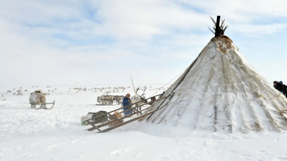 Фото: пресс-служба Научного центра изучения Арктики