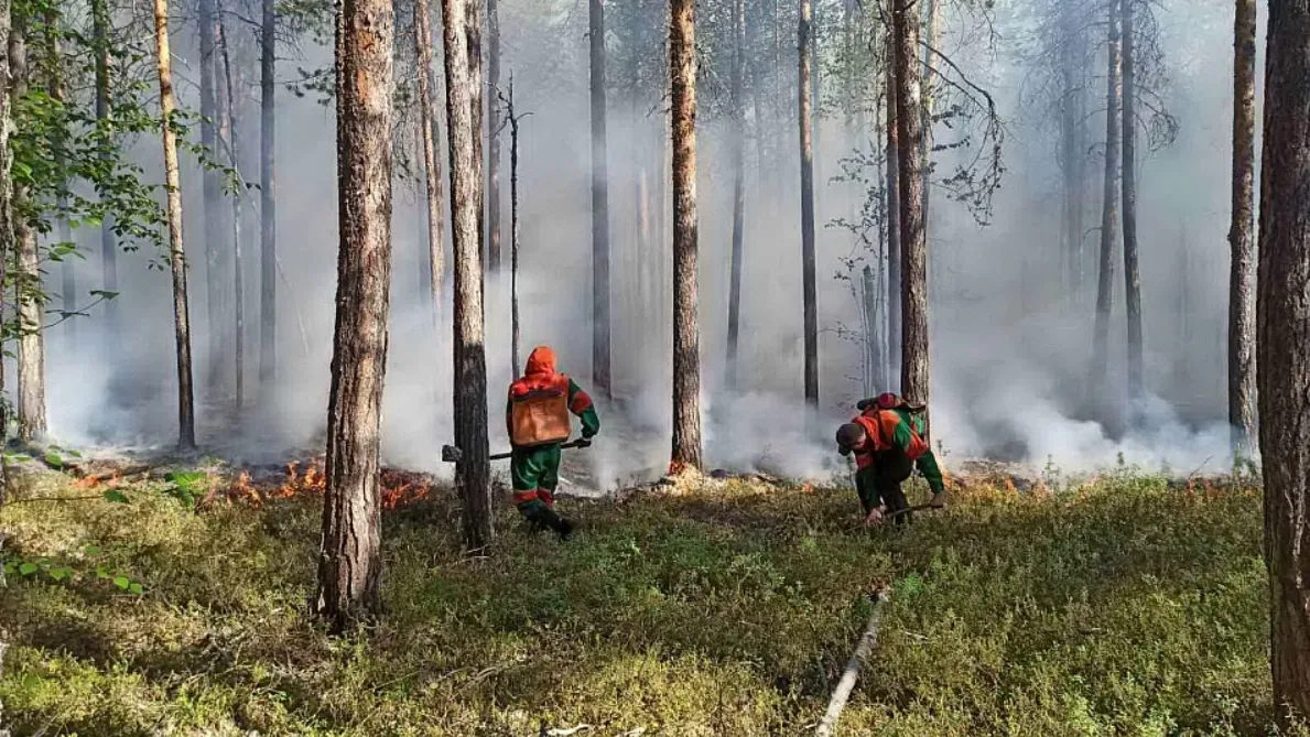 Фото: предоставлено пресс-службой губернатора ЯНАО