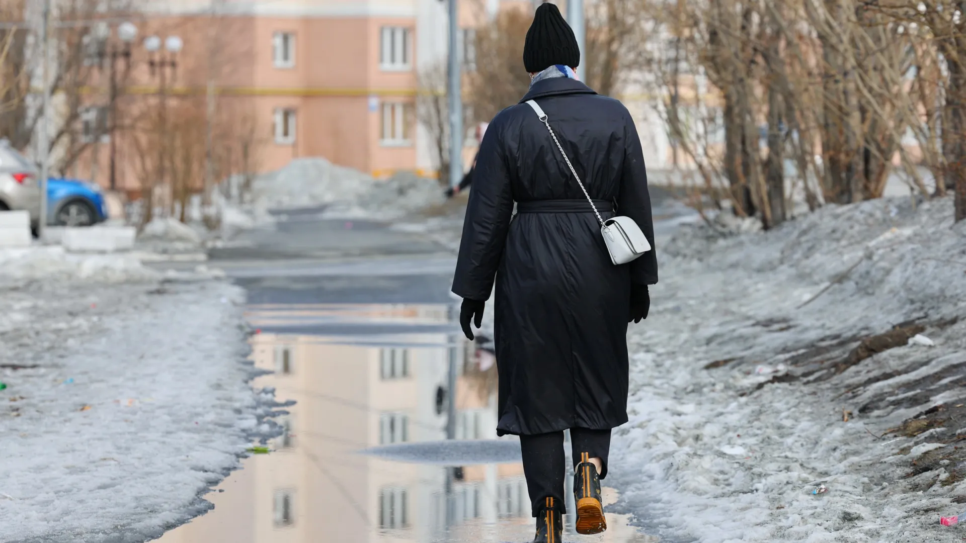 Фото: Андрей Ткачёв/«Ямал-Медиа»