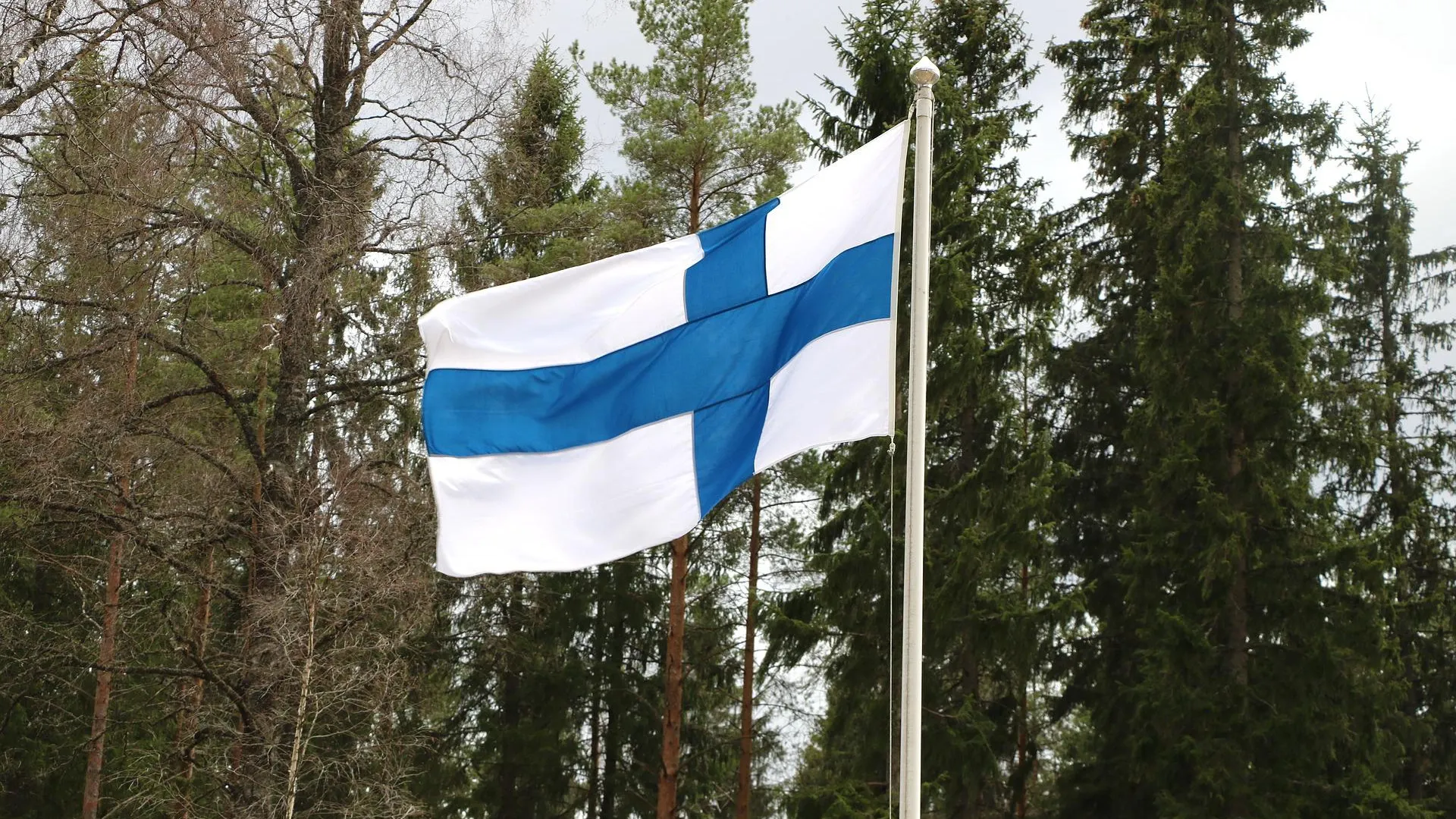 Укрепление автономии финляндии