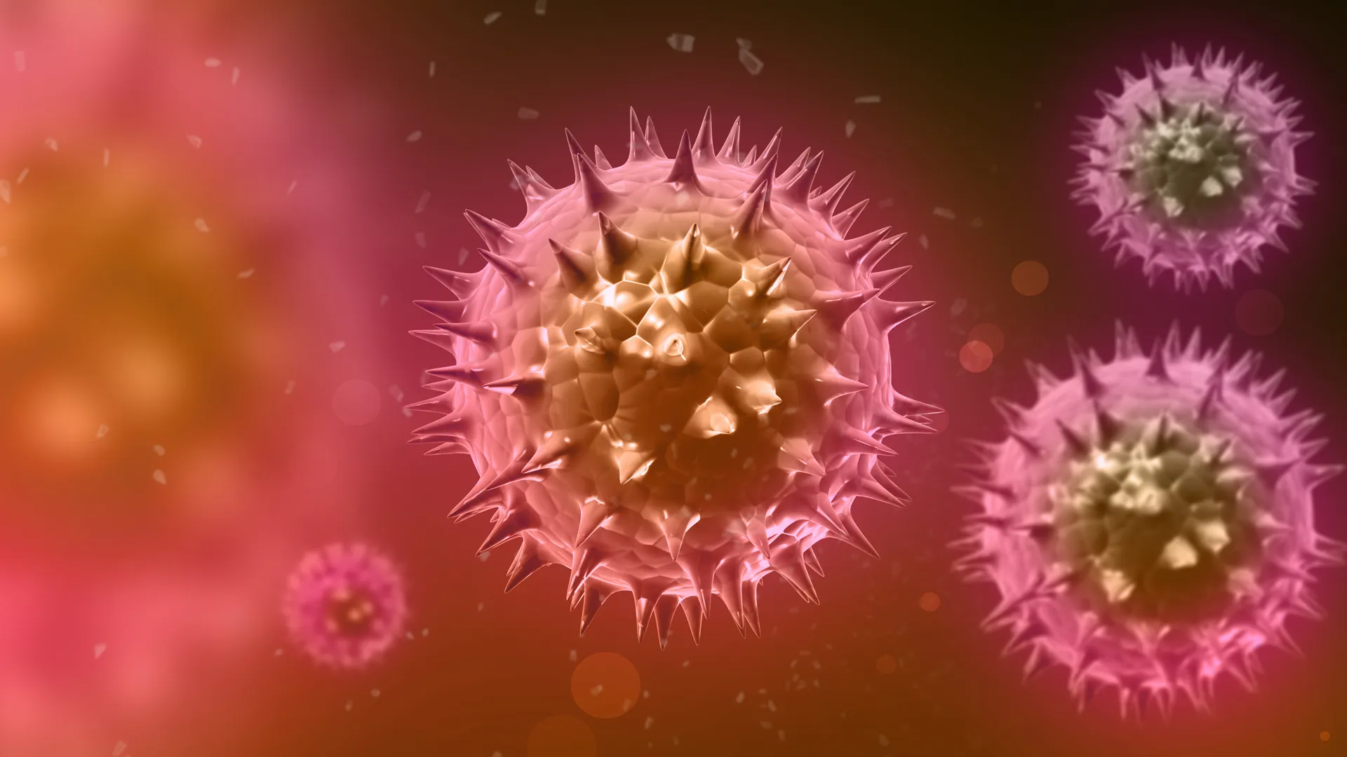 Вирус гриппа коронавирус. Вирус свиного гриппа. Эволюция вирусов. Свиной грипп фото вируса. Вирус h1n1 под микроскопом.