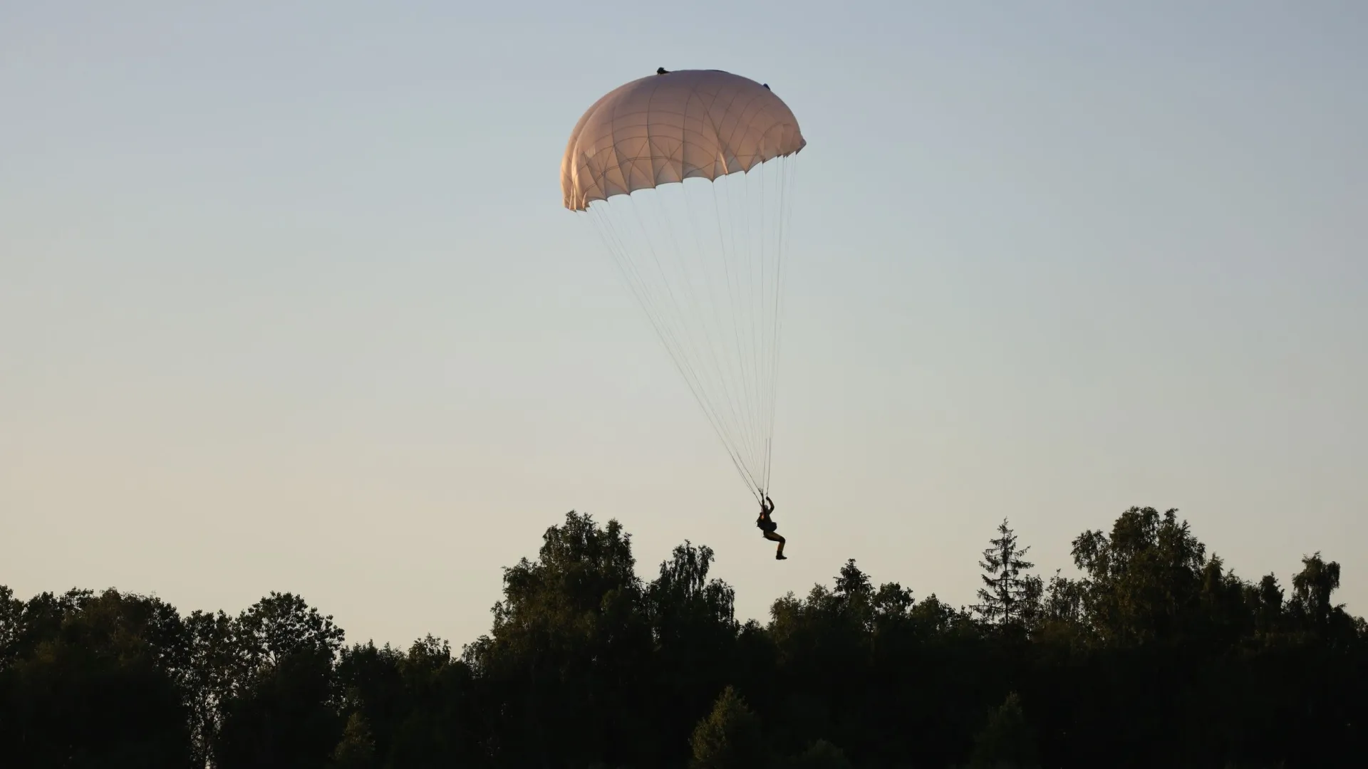 Фото: Sky Antonio/Shutterstock/Fotodom