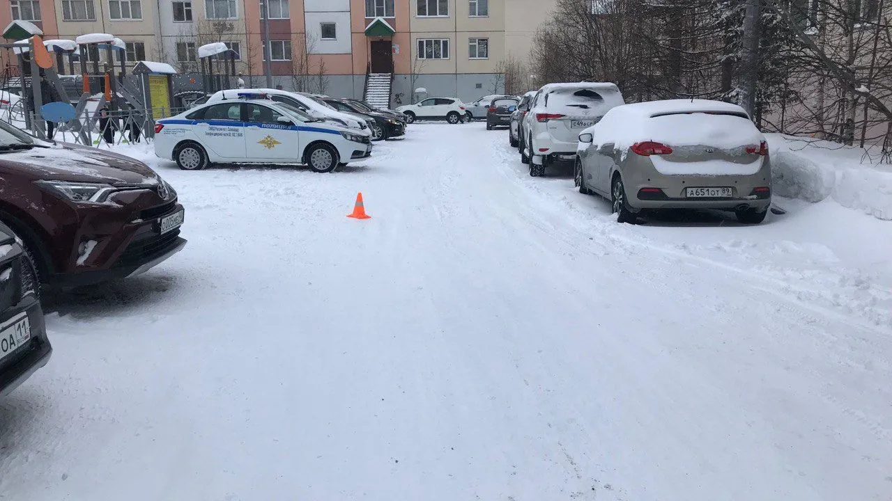 Фото предоставлено пресс-службой Госавтоинспекции Салехарда