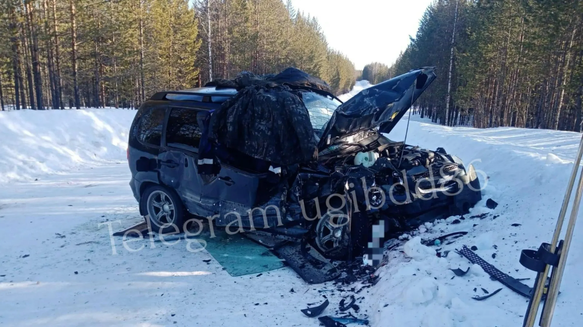 В ХМАО на зимнике Агириш – Хулимсунт в аварии пострадали три человека |  Ямал-Медиа