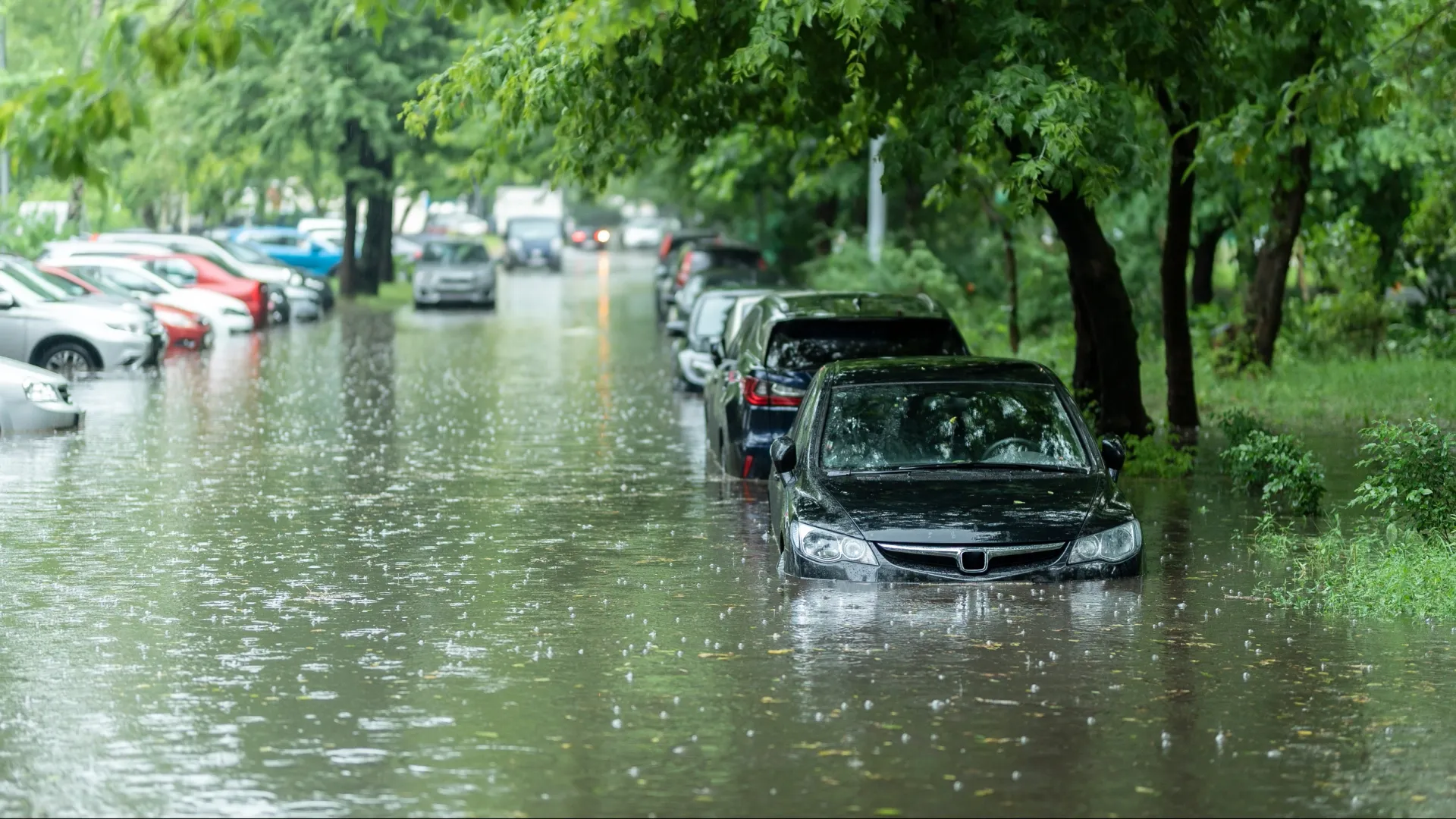 Сильные ливни в Москве стали частным явлением. Фото: mkfilm/Shutterstock/Fotodom