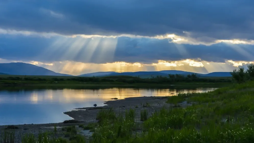 Фото: Sergei Drozd/Shutterstock/ФОТОДОМ