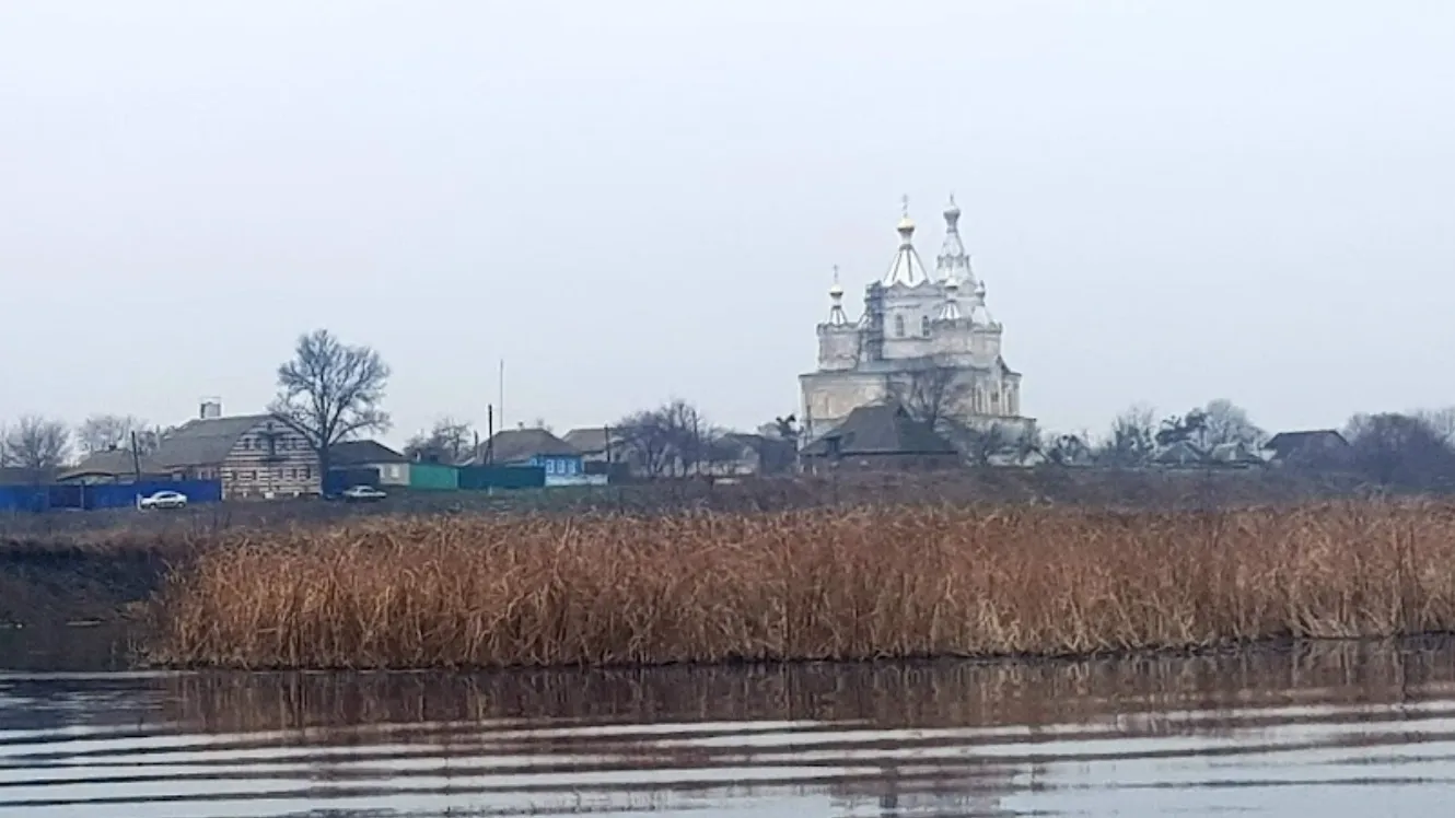 Село Борки. Фото: карты Google