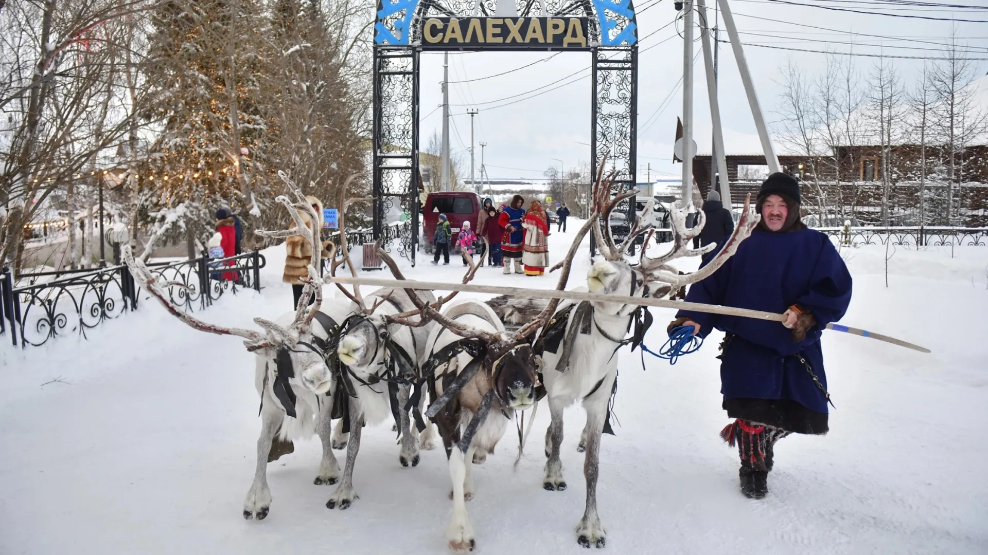 Фото: Андрей Ткачев/«Ямал-Медиа»