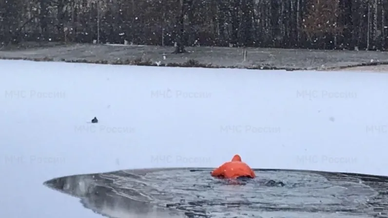 Фото: сайт главного управления МЧС России по городу Москве 