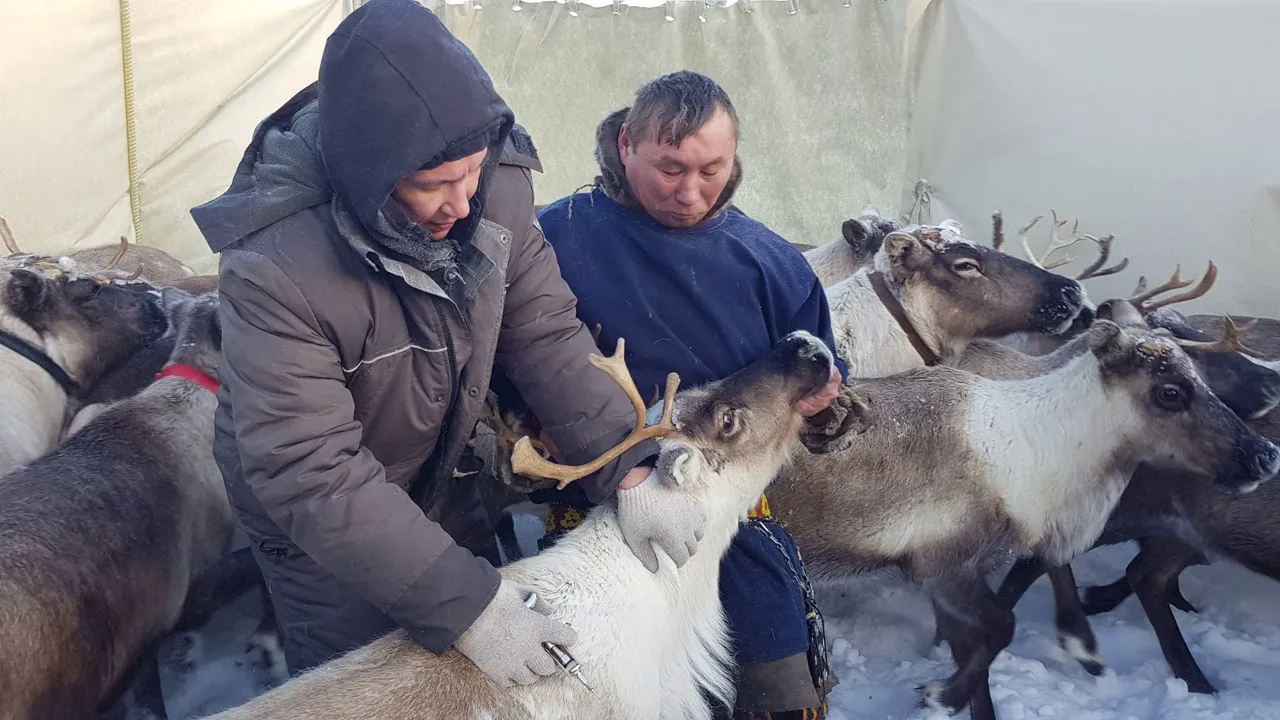 Фото: предоставлено пресс-службой губернатора ЯНАО