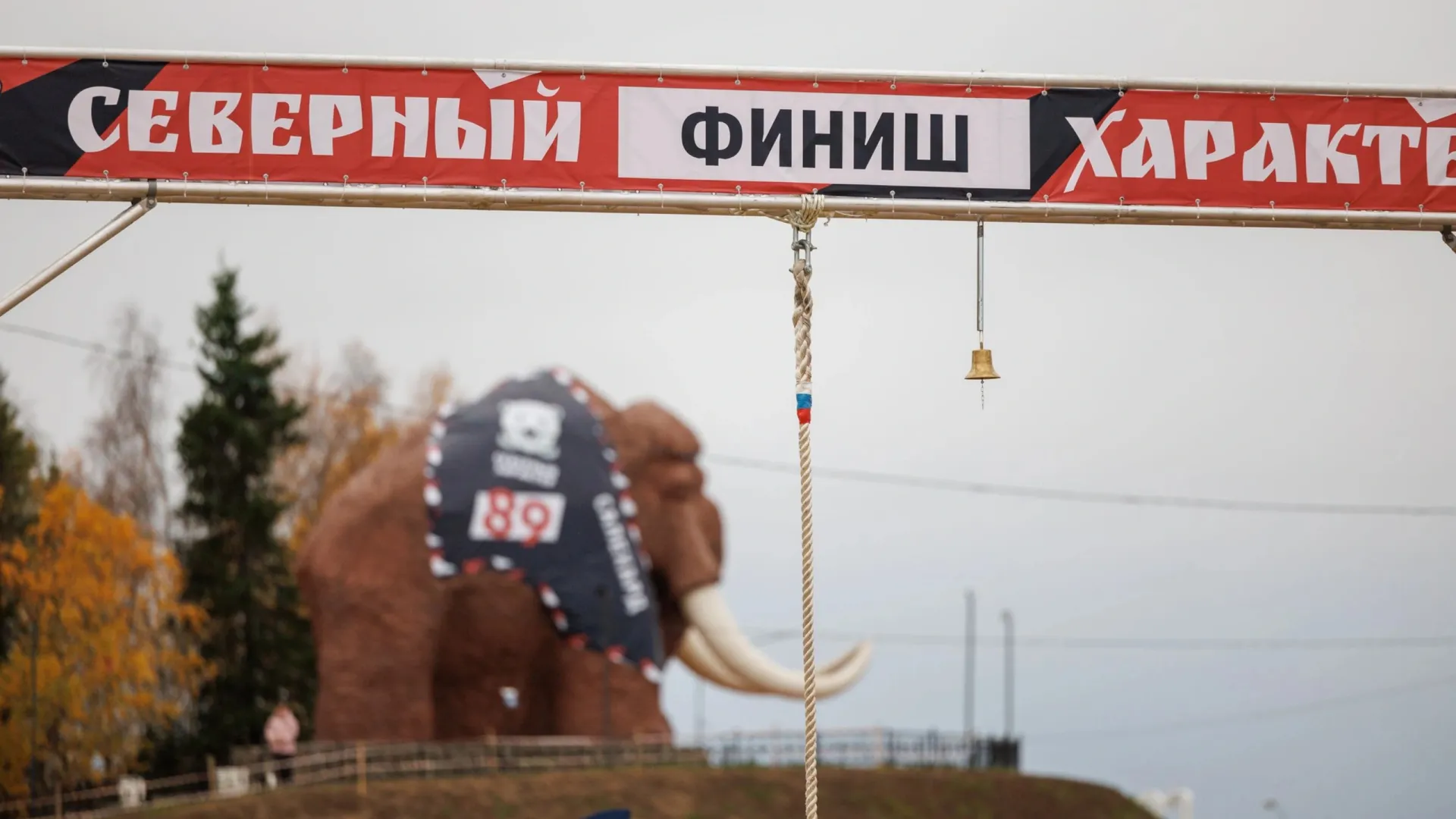 Глава ЯНАО предложил включить игры «Северный характер» в план Минспорта РФ  | Ямал-Медиа