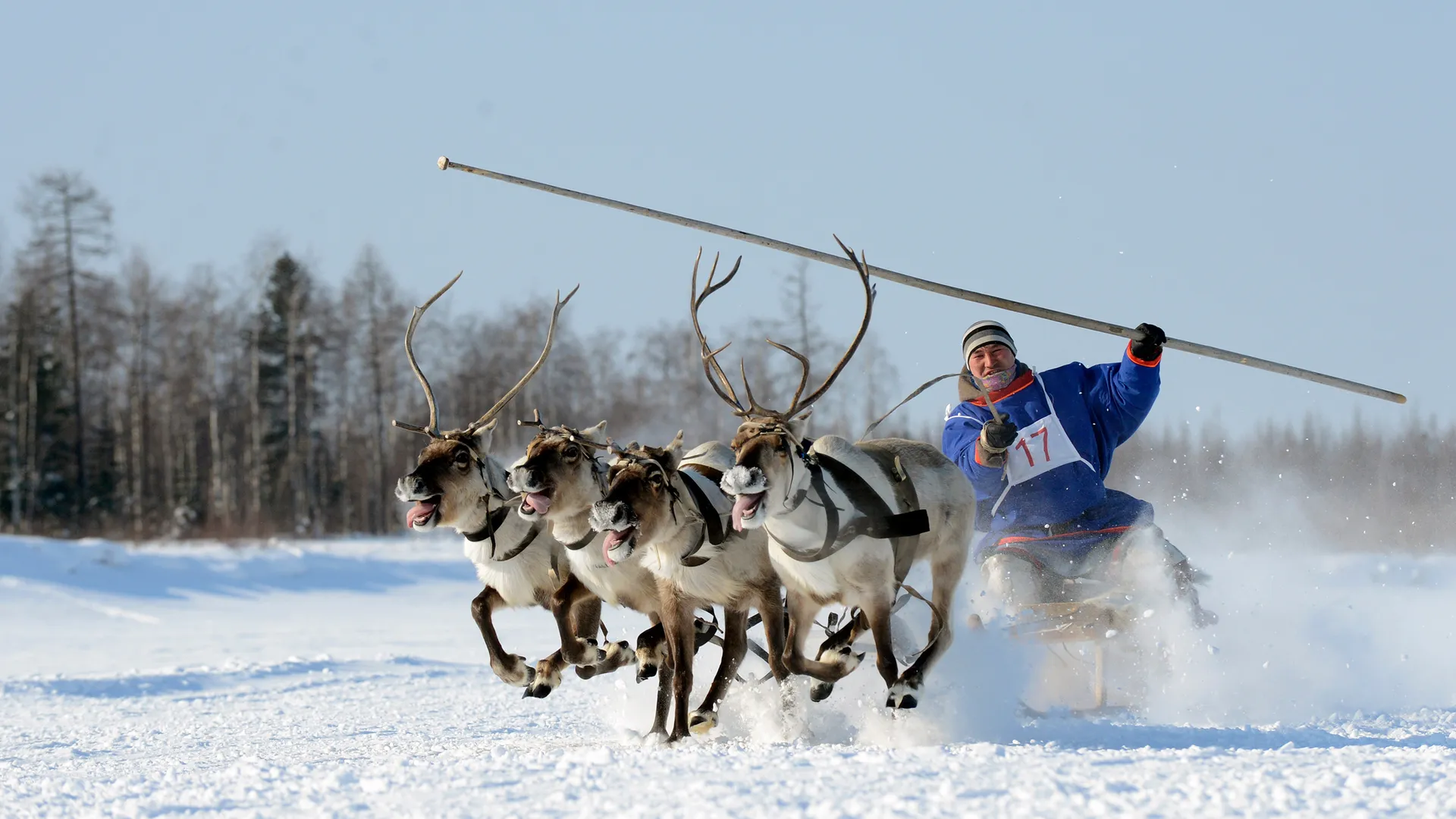 Фото: Sergey Rusanov/Shutterstock.com