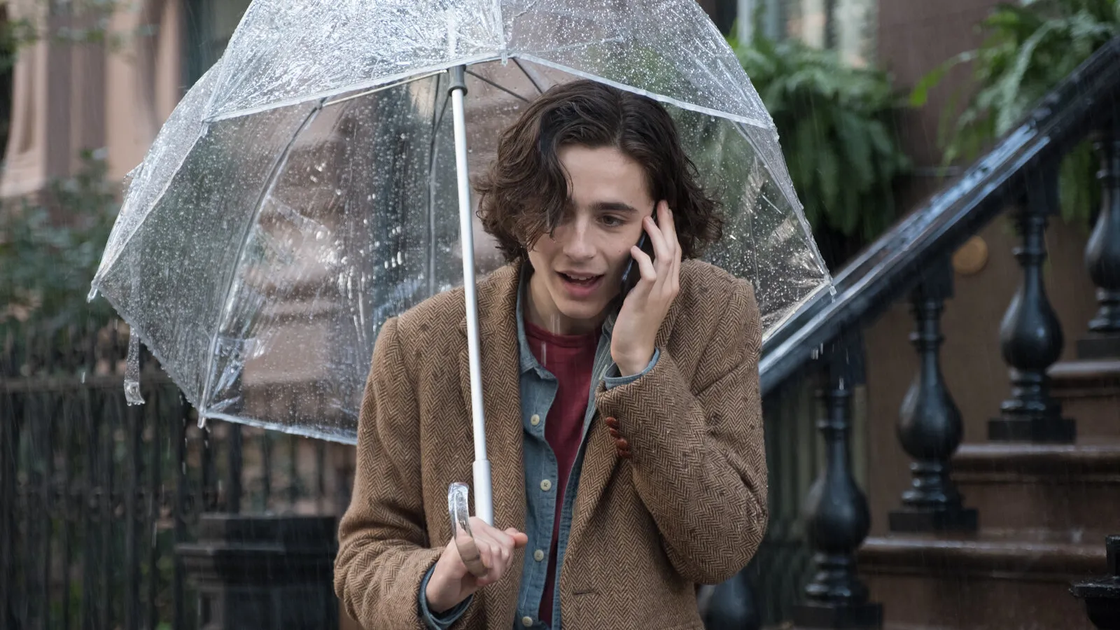 Источник фото: «Дождливый день в Нью-Йорке» (2019) / Кинопоиск