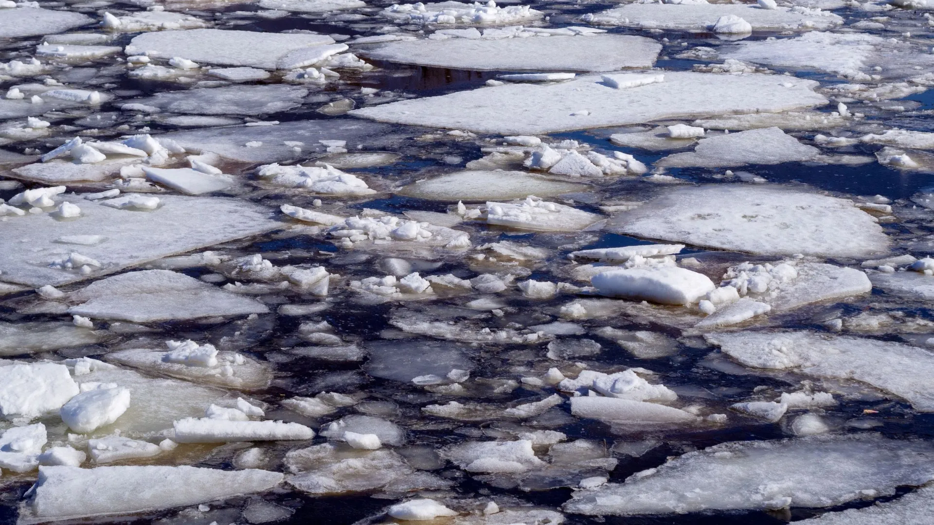 С Алтайского края начинается освобождение Оби ото льда. Фото: Andrey Ozhegov / Shutterstock / Fotodom