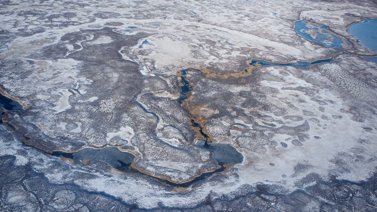 Фото: пресс-служба губернатора ЯНАО