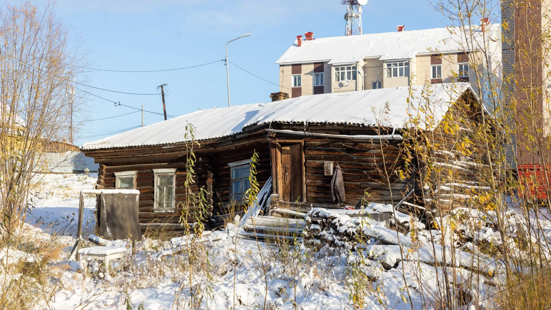 Фото: Федор Воронов/«Ямал-Медиа»