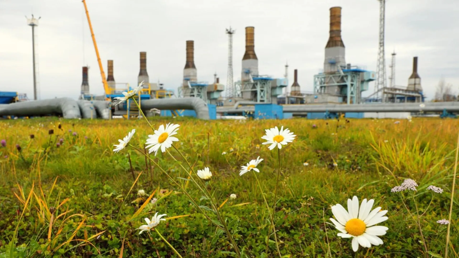 На промыслах «Газпром добыча Ноябрьск» завершается подготовка к зиме |  Ямал-Медиа