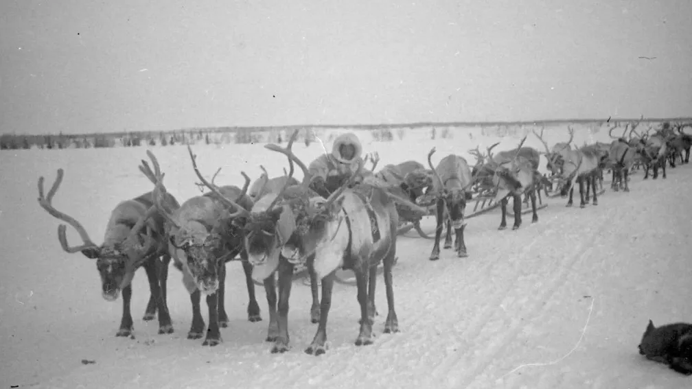 Источник фото: Фотографии из Государственного архива ЯНАО, Государственного архива социально-политической истории Тюменской области и фондов окружного Музейно-выставочного комплекса им. И. С. Шемановского