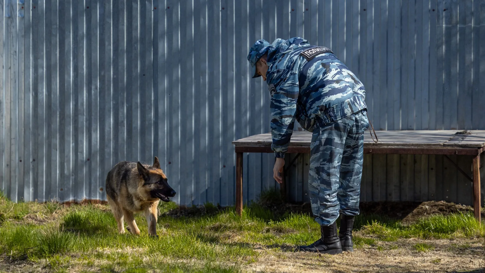 Фото: Федор Воронов/«Ямал-Медиа»