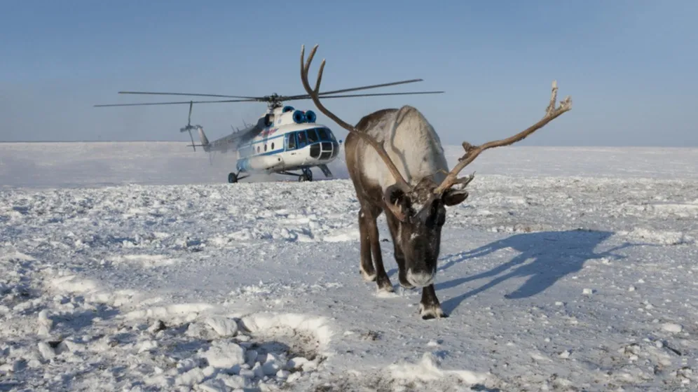 Вертолет в ямальской тундре. Фото: nenets/Shutterstock/ФОТОДОМ