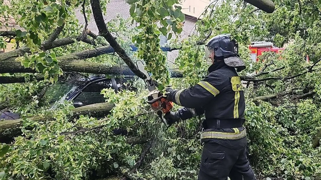 Петербургские спасатели расчищают двор от упавших деревьев. Фото: t.me/mchspetersburg