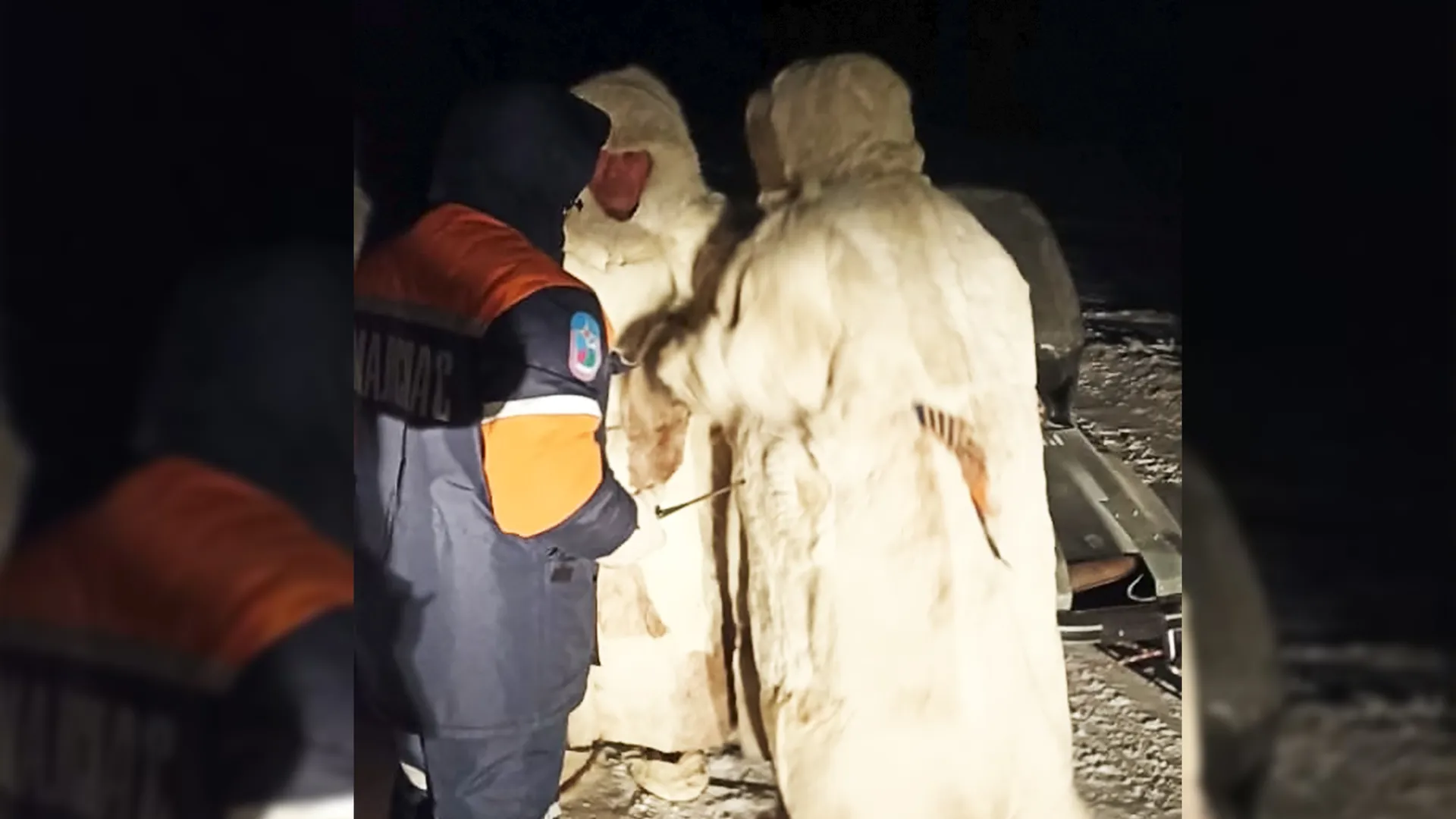 Из Тазовской тундры спасатели эвакуировали сразу трёх жителей