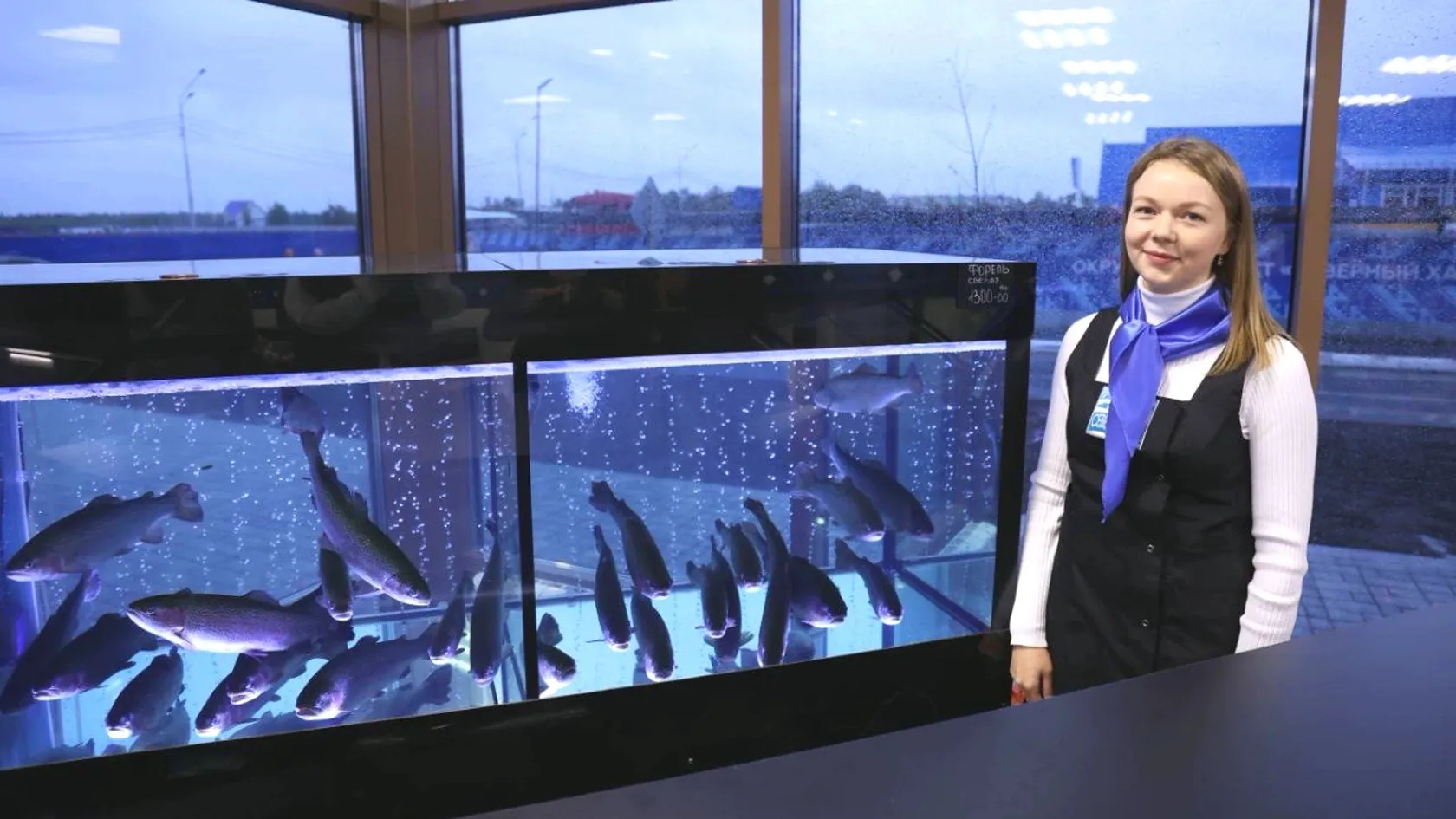 Витрина из аквариумов показывает товар "лицом" - форель покупатели выбирают самостоятельно. Фото: предоставлено пресс-службой губернатора ЯНАО.