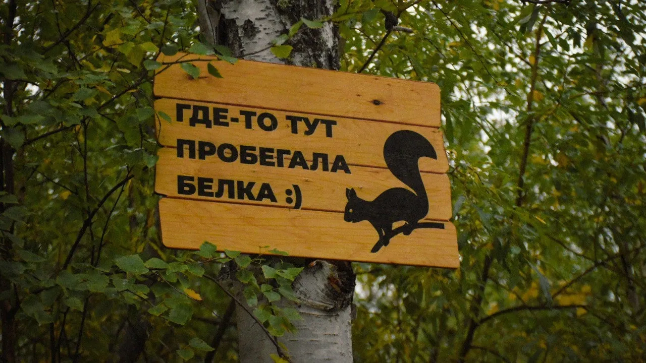 В местах прогулок таблички оповещают, что ваши пути с пушистыми зверьками могут пересечься. Фото: t.me/gubadm89