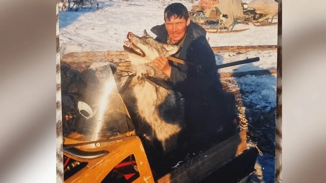 Волк — извечный враг оленеводов. Фото из архива семьи Лонгортовых
