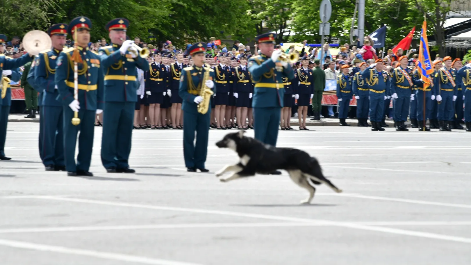 Парад Победы в Волгограде 9 мая 2022 года | Фотография 6