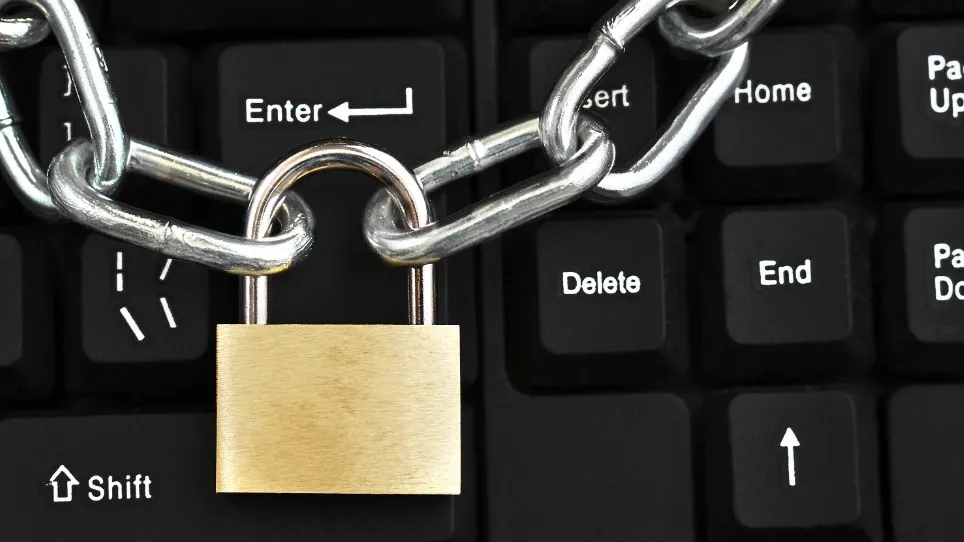 Безопасность личных данных должна быть заботой самих пользователей Сети. Фото: Georgy Dzyura /  shutterstock.com