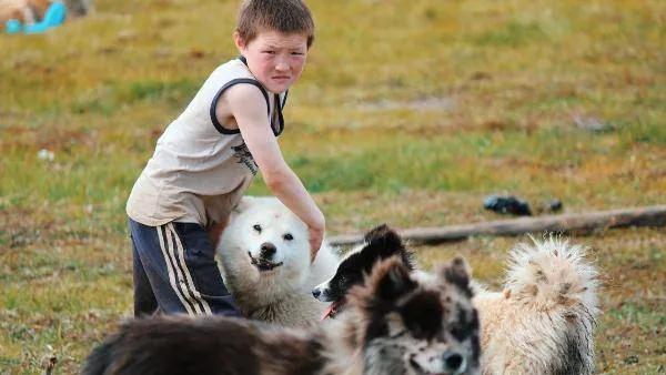С таким псом и взрослеть веселее!  Фото: Анвар Кабулов