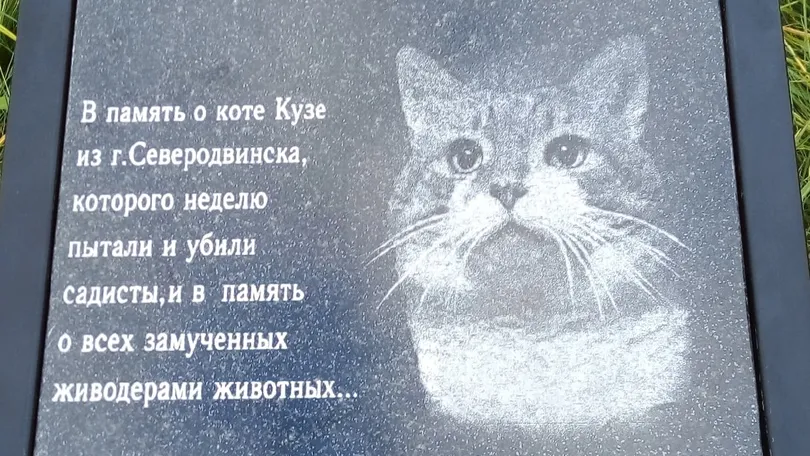 Источник фото: ВКонтакте, паблик «Добиться наказания для убийц Кузи — наша задача»