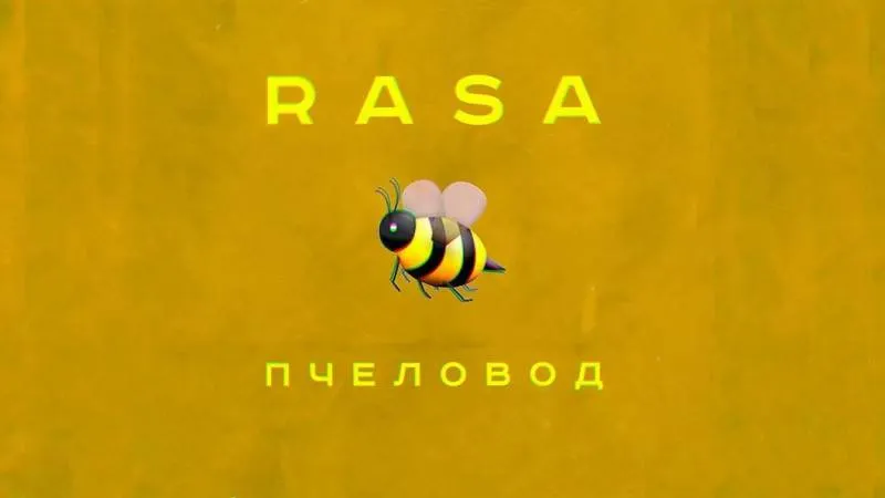 «Бжж… мы просто пчелы». Жительница Ямала спела на ненецком летний хит группы RASA