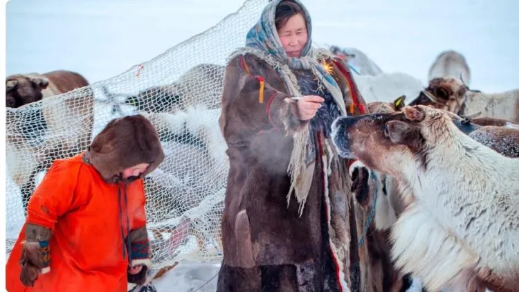 Традиции северных народов в ЯНАО сохранены практически в неизменном виде. Фото: evgenii mitroshin/shutterstock.com