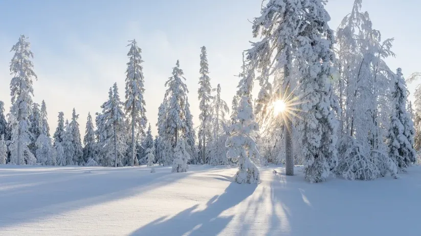 На Ямале из-за потепления могут приостановить движение по зимникам